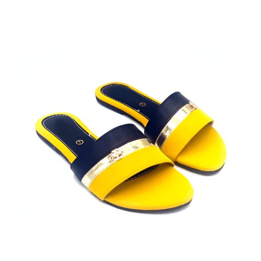 Hawai Chappals