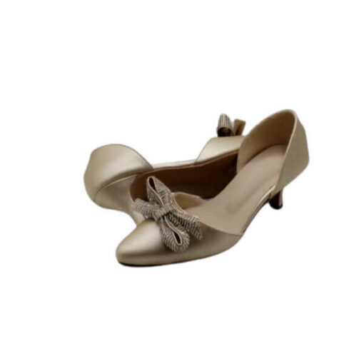Fancy Pump Shoes