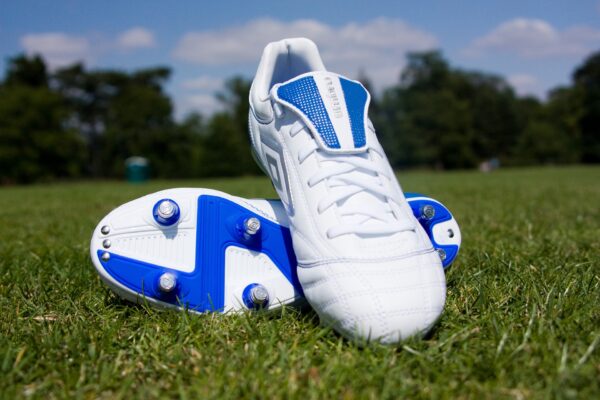 Chelsea Shoes For Women