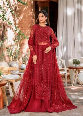 Pakistani Wedding Guest Dress