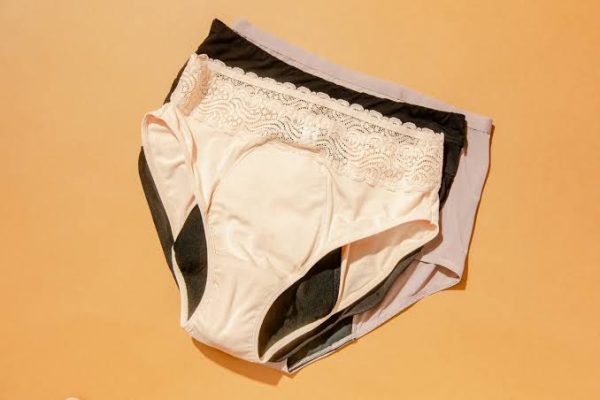 What is The Most Expensive Panty